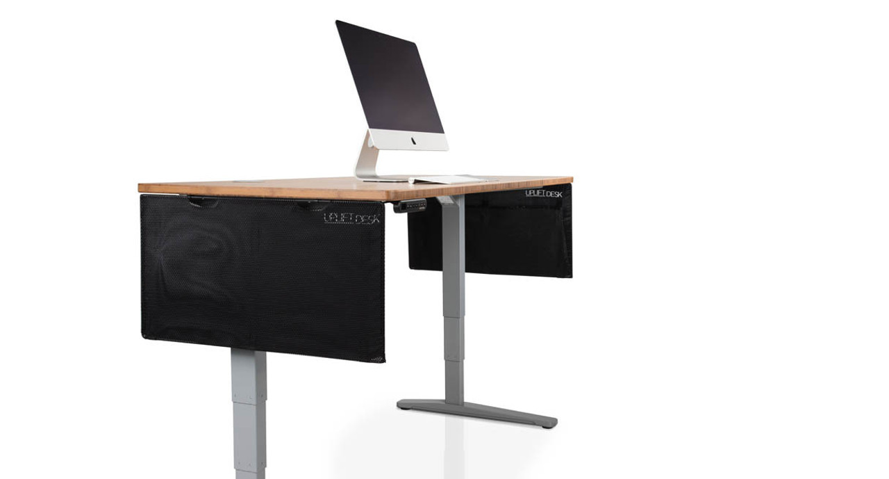 Modesty Panel/Divider for Standing Desk