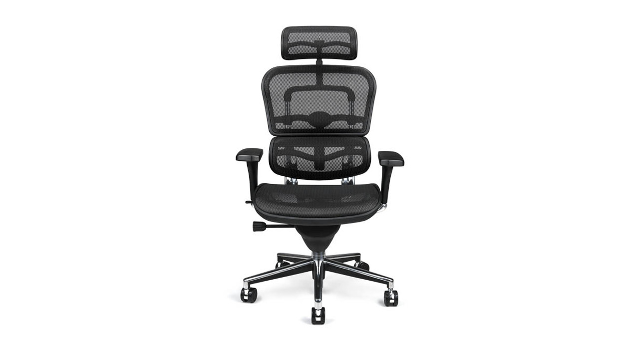 Raynor Ergohuman Chair ME7ERG Mesh with Headrest