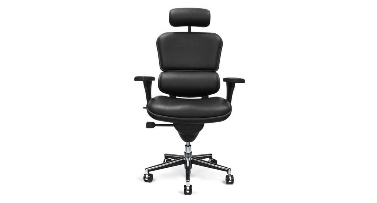 ergo human chair