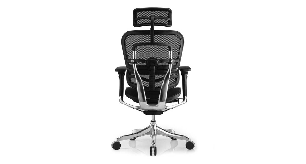 Shop Raynor Ergo Elite Chair with Headrest ME22ERGLT