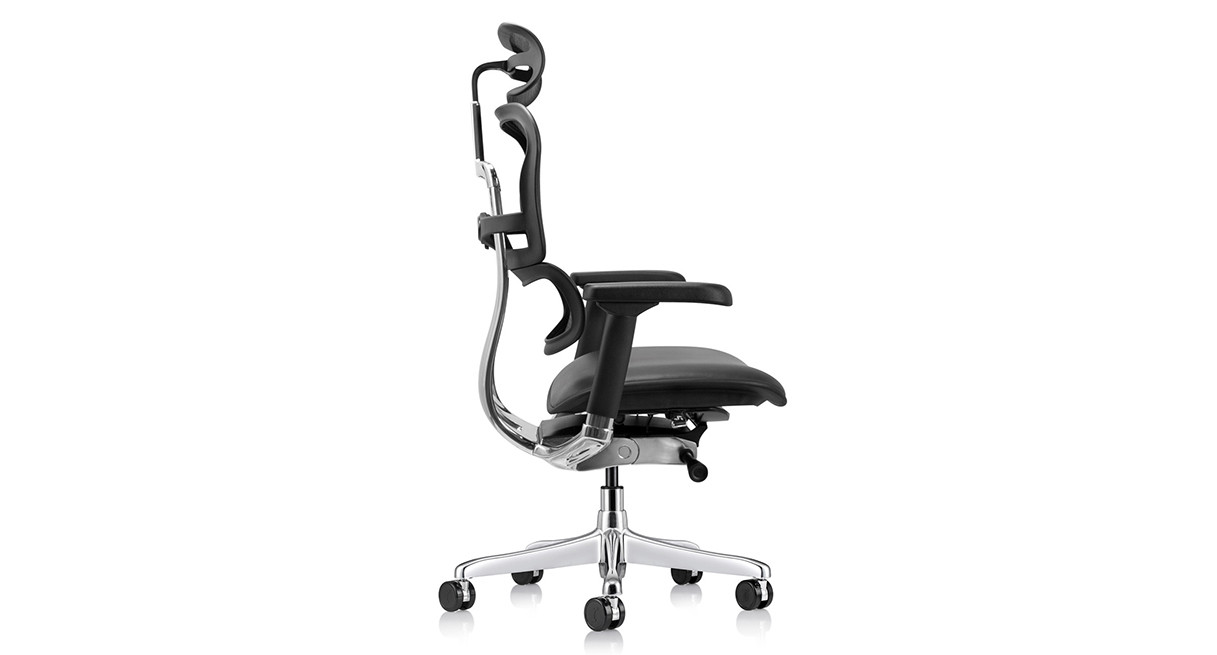 Shop Raynor Ergohuman Mesh Chairs - Leather Seat LEM4ERG