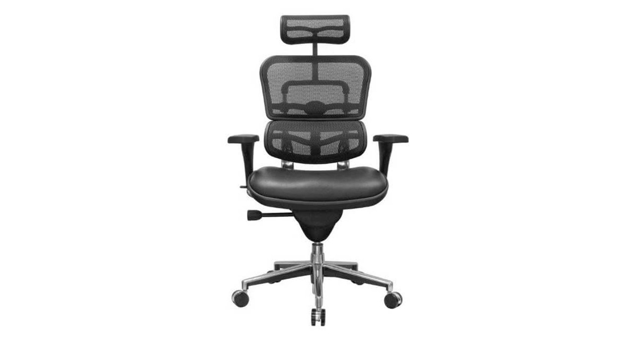 Shop Raynor Ergohuman Mesh Chairs Leather Seat Lem4erg