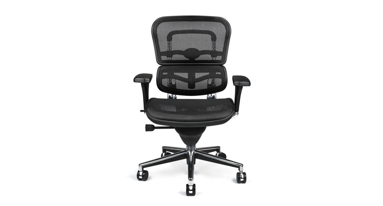 raynor ergohuman mesh chair me8erglo