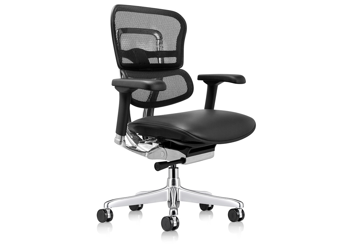 Raynor Ergohuman Chair - Mesh Chair with Leather Seat LEM6ERGLO