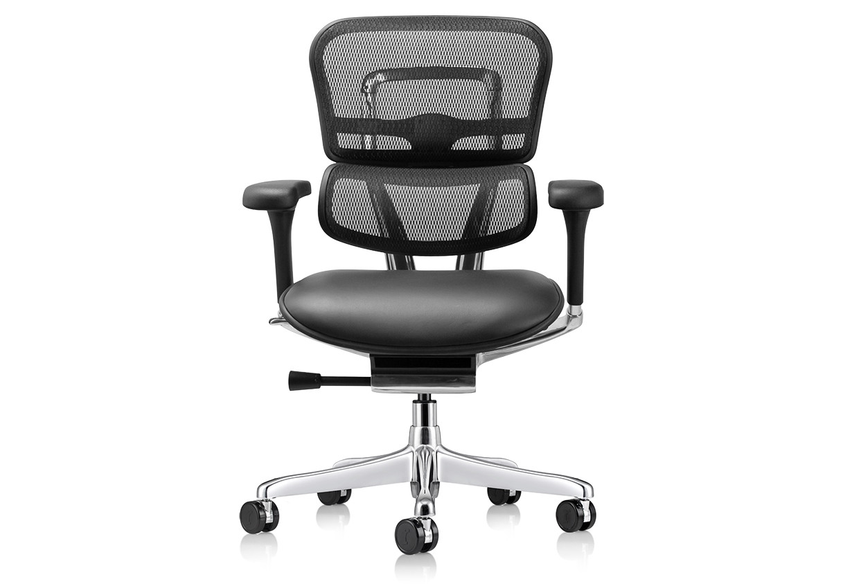 Raynor Ergohuman Chair