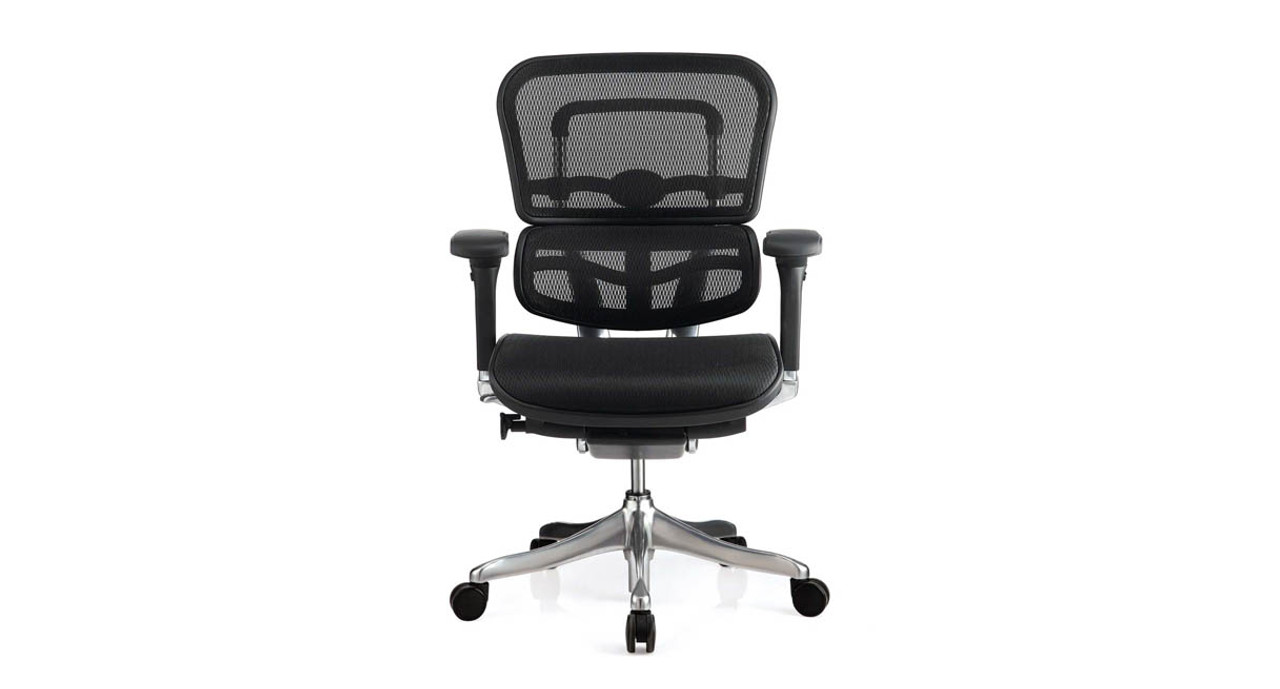 Raynor Ergo Elite Chair ME5ERGLTLOW Shop Raynor Ergonomic Chairs