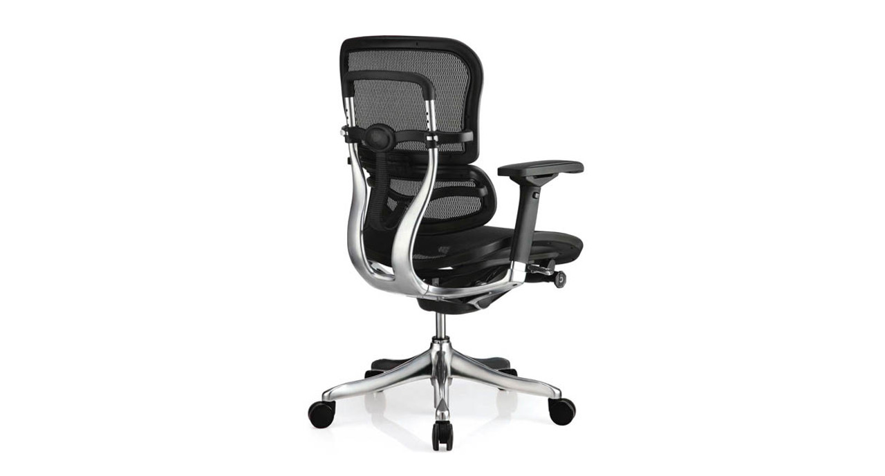 Raynor Ergo Elite Chair ME5ERGLTLOW Shop Raynor Ergonomic Chairs