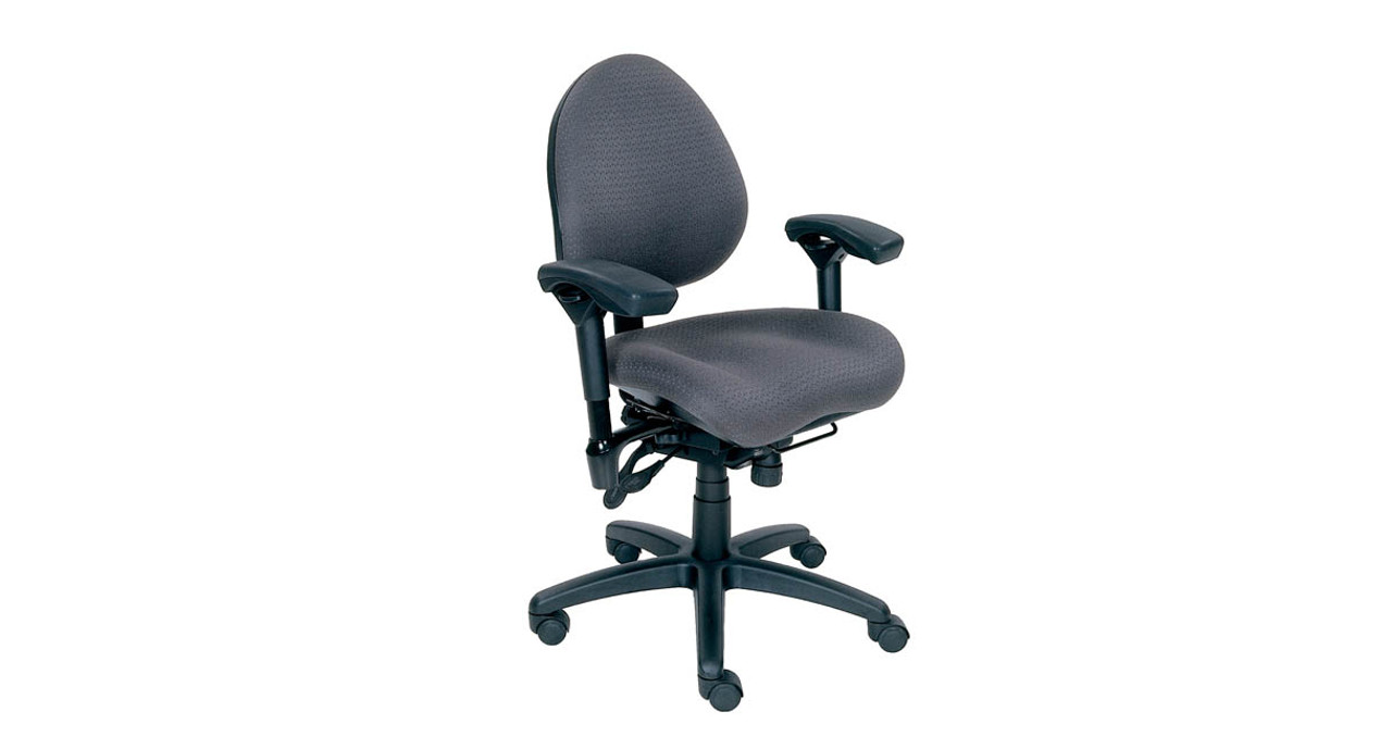 ErgoChair Pro  The Ergonomic Chair that Supports Your Entire Body