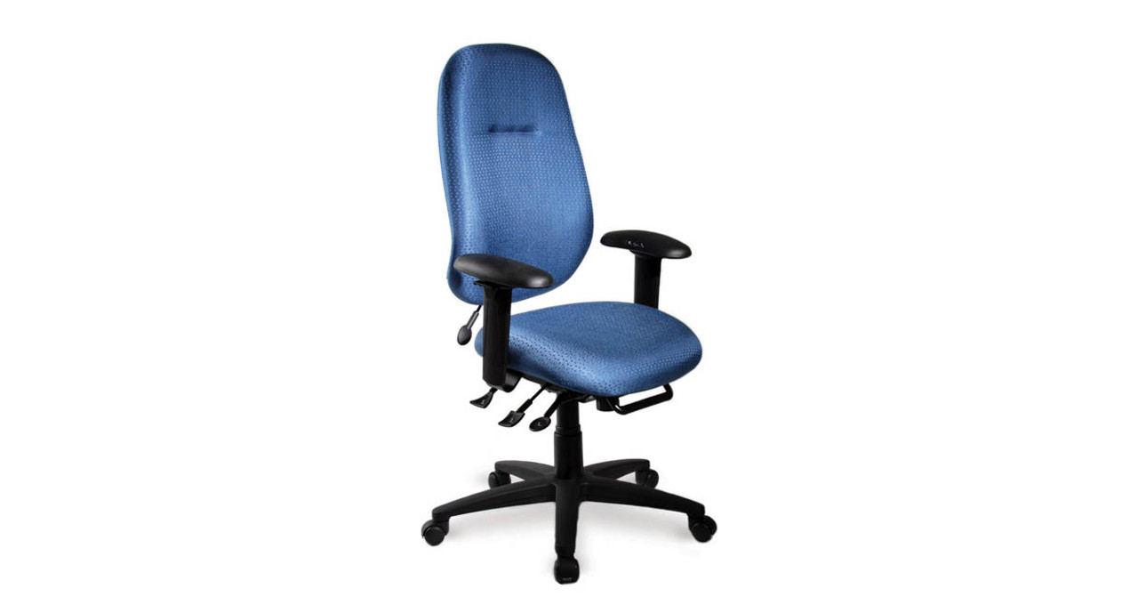 ergoCentric geoCentric Task Chair