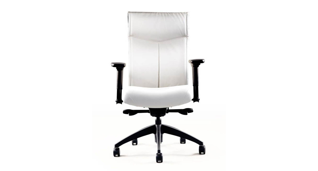 Nv posture 2025 office chair