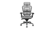 The Raynor Ergohuman Chair is a comfy and stylish addition to your office