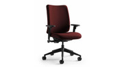 Fits a wide range of users seeking an ergonomic task chair at a desirable price point