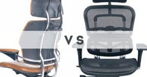 Clash of the Titans: Ergohuman vs. Freedom Chair