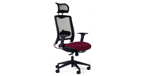 Ergocraft ECO7.5 Mesh Back Chair (Discontinued) Ergocraft ECO7.5 Mesh Back Chair (Discontinued)