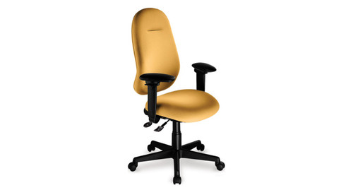 ergoCentric Saffron III Multi-Tilt High Back Chair (Discontinued) ergoCentric Saffron III Multi-Tilt High Back Chair (Discontinued)