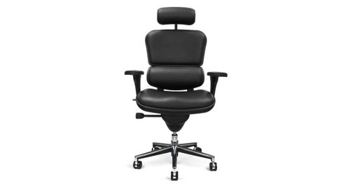 https://cdn11.bigcommerce.com/s-492apnl0xy/images/stencil/500x659/products/538/4981/raynor-ergohuman-leather-chair-headrest-ray352__90232.1492723986.jpg?c=2