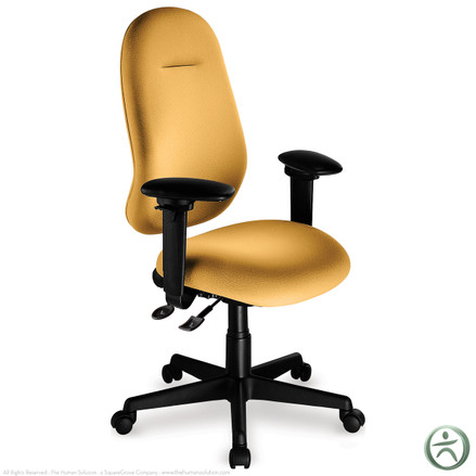 ergoCentric Saffron III Multi-Tilt High Back Chair (Discontinued)