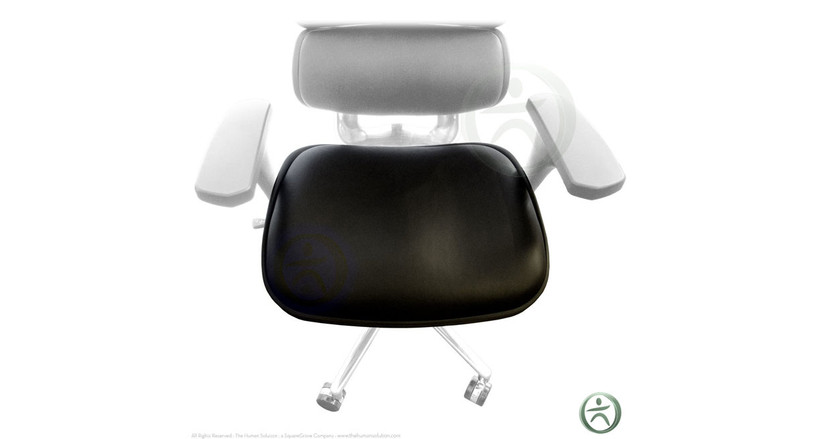 Replace your seat with a Raynor Ergohuman Chair Replacement Leather Seat for LE9ERG and LE10ERGLO chair models