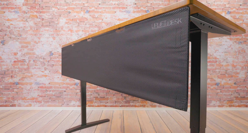 Modesty Panel with Wire Management