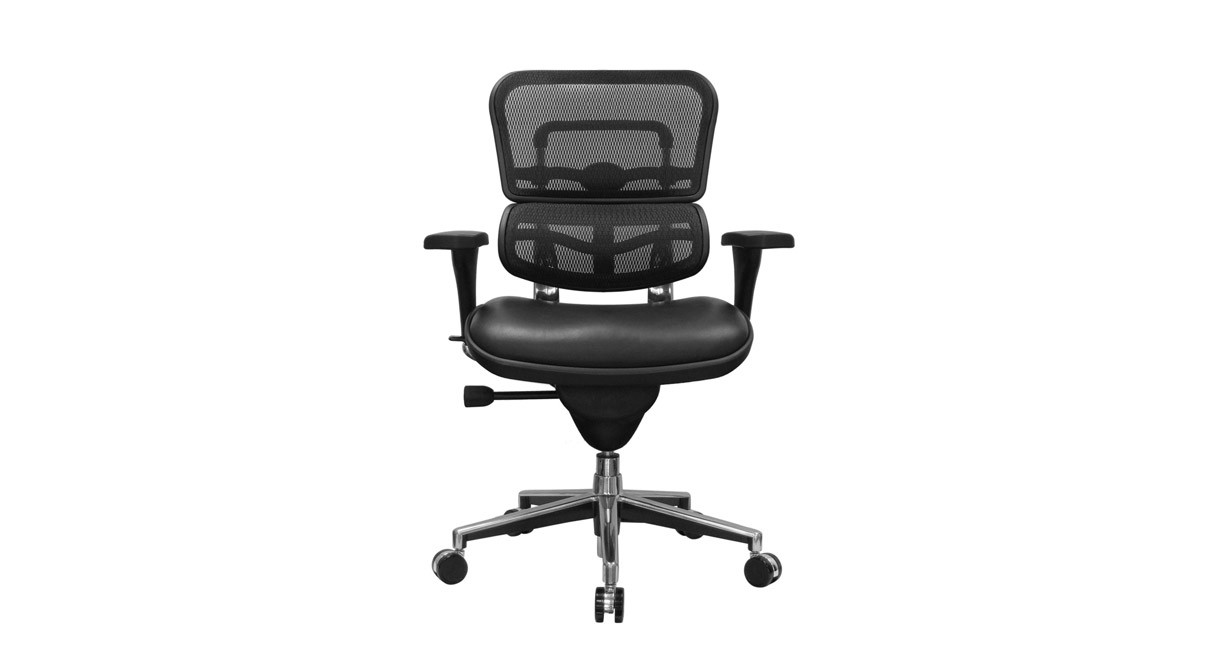 Raynor Ergohuman Chair Mesh Chair With Leather Seat