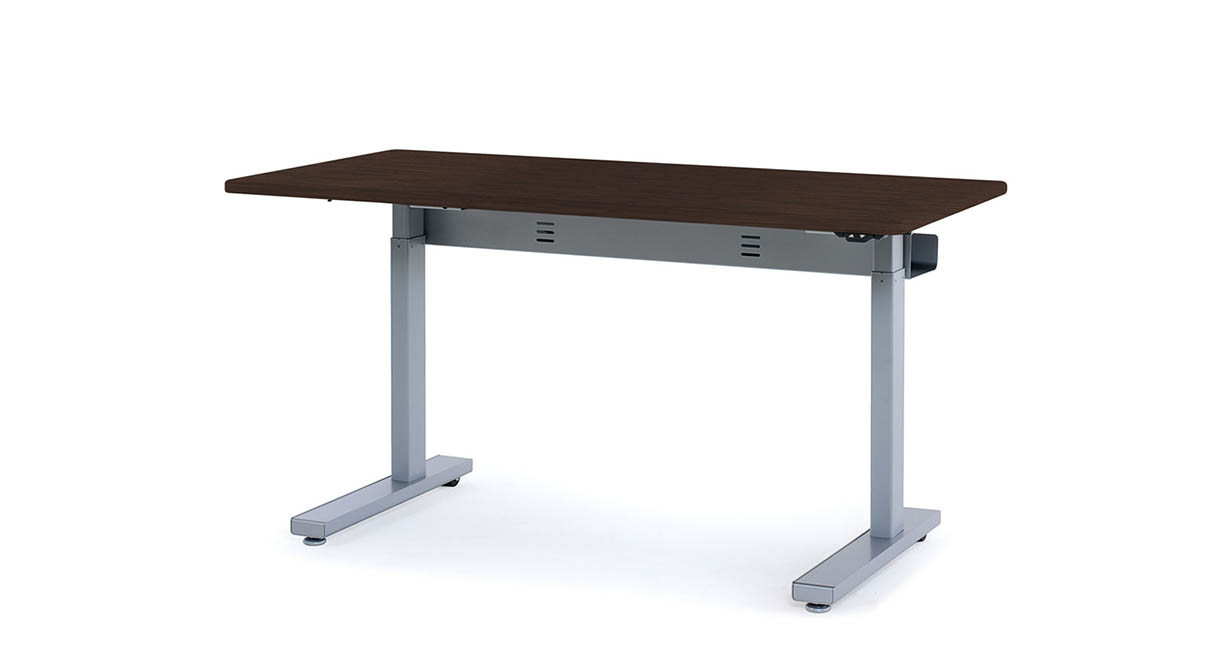 Shop Anthro Elevate II Plus Sit-Stand Electric Lift Tables