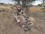 Mule Deer Down.