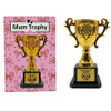 MD2684 Mum Trophy

$3.80 plus GST

The best Mum award goes to my Mum!!  A great novelty gift that is sure to be a winner!  Product measures 9.5 x 14 x 6.5cm.  New design.

Product Info: a plastic novelty gold trophy that says “Officially the Best Mum Ever”.