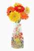 Modgy Mary Vaux Walcott Botanicals Expandable Vase