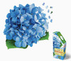 I am hydrangea 350 piece puzzle. 