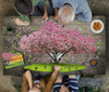 I Am Cherry Blossom 1000 piece puzzle