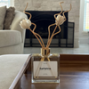 Iluxir Earthshine Reed Diffuser - Lavender and Oakmoss