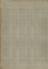 Classic Pattern 21 The White Rabbit - vinyl floor cloth sizes 96x140, 120x175