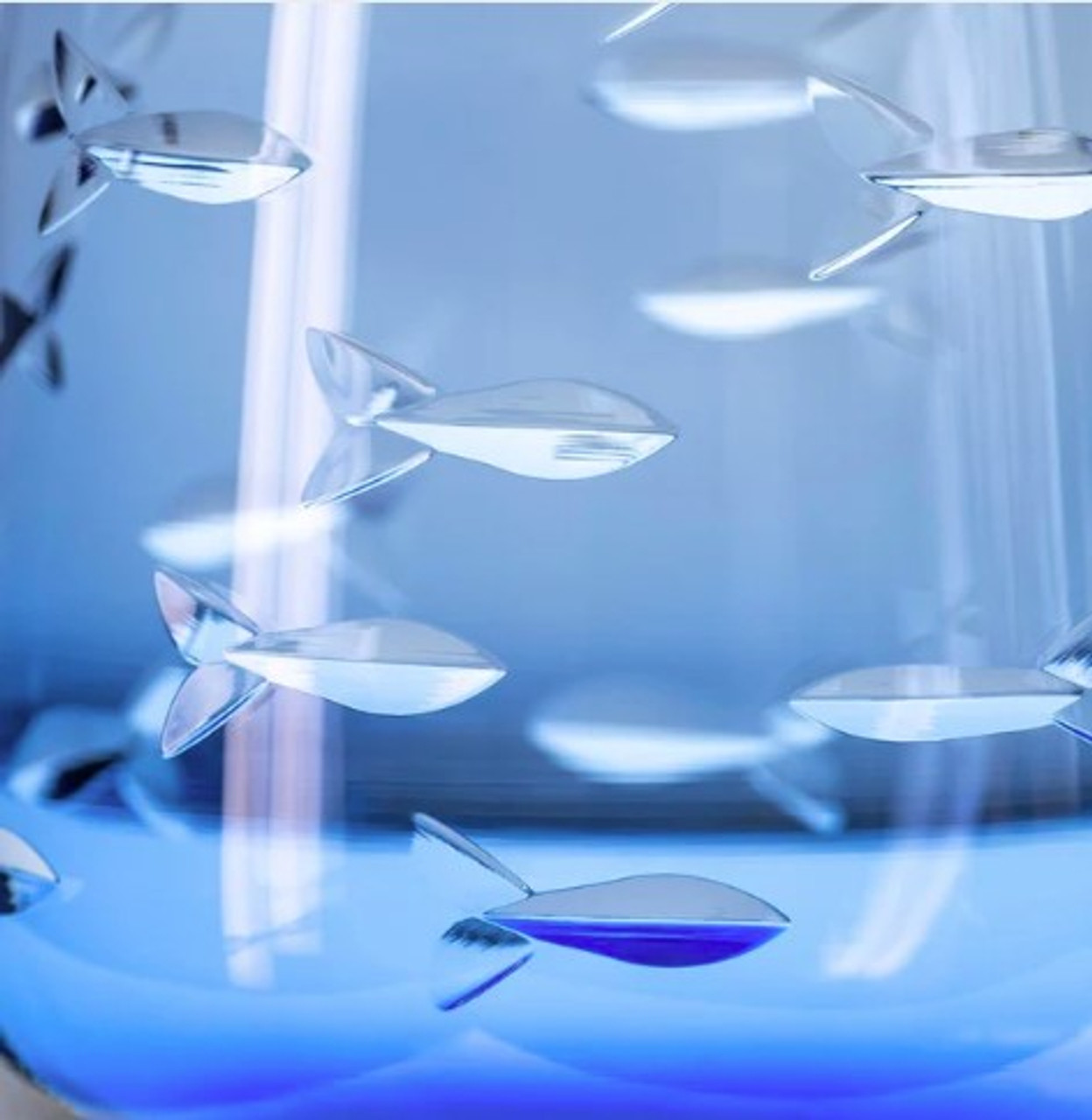 School of Fish blue stemless wine glass 15oz