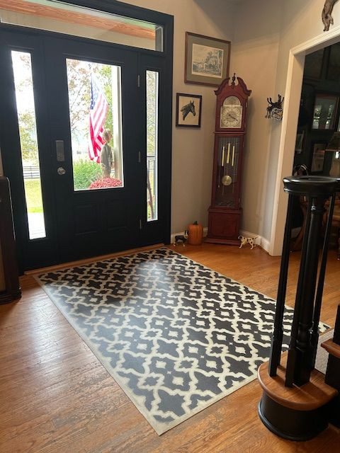 Classic Pattern 31 A Murder of Crows - vinyl floor cloth used in an entryway