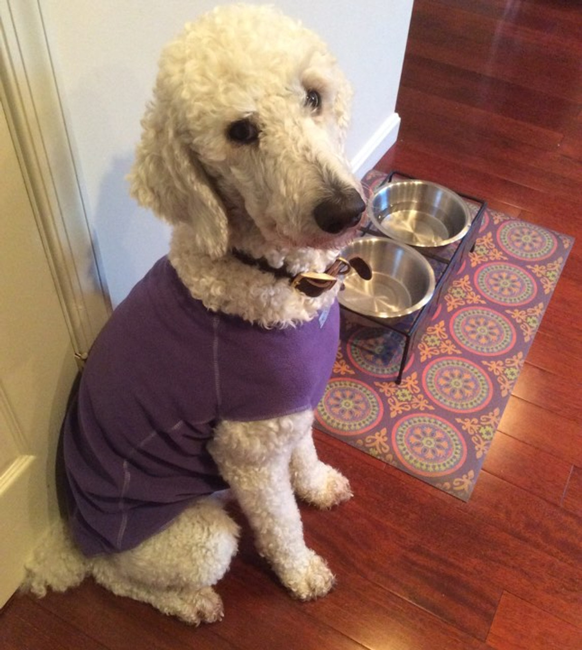 Pura Vida customer use of Samsara vinyl floor cloth as a doggie bowl mat.