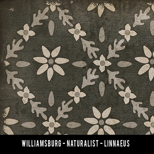 Williamsburg Naturalist Linnaeus - vinyl floor cloth swatch sample