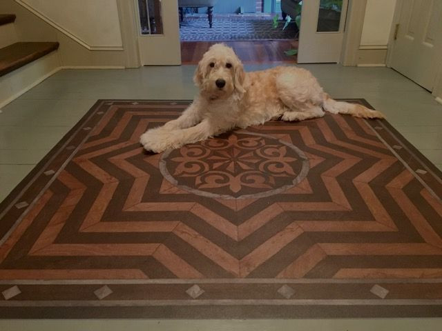 Caledonian They Rise Behind Her Steps - vinyl floor cloth used in an entry. 