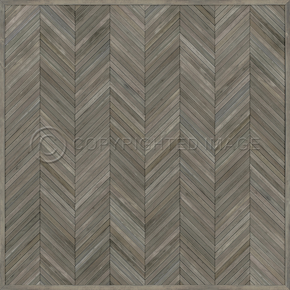 The Legacy In the Track of the Book Worm - vinyl floor cloth sizes 60x60, 72x72