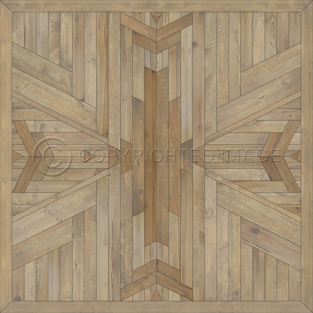 Native Of the Sun and Sky - vinyl floor cloth sizes 84x84, 96x96, 120x120
