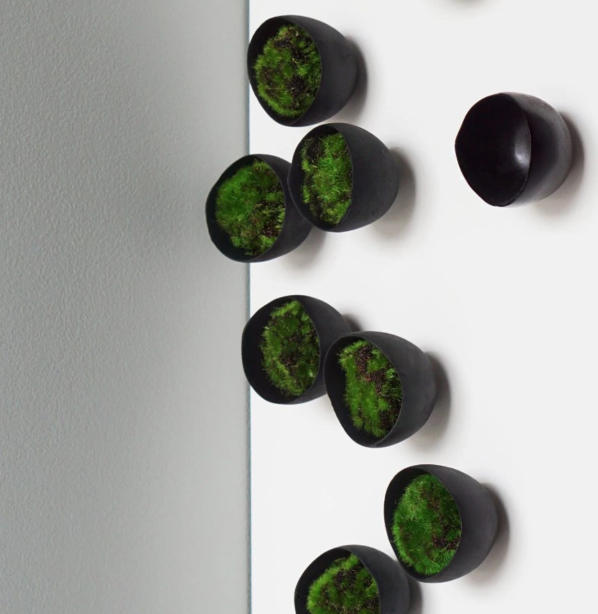 Wall Play Seed Black (set of 10)