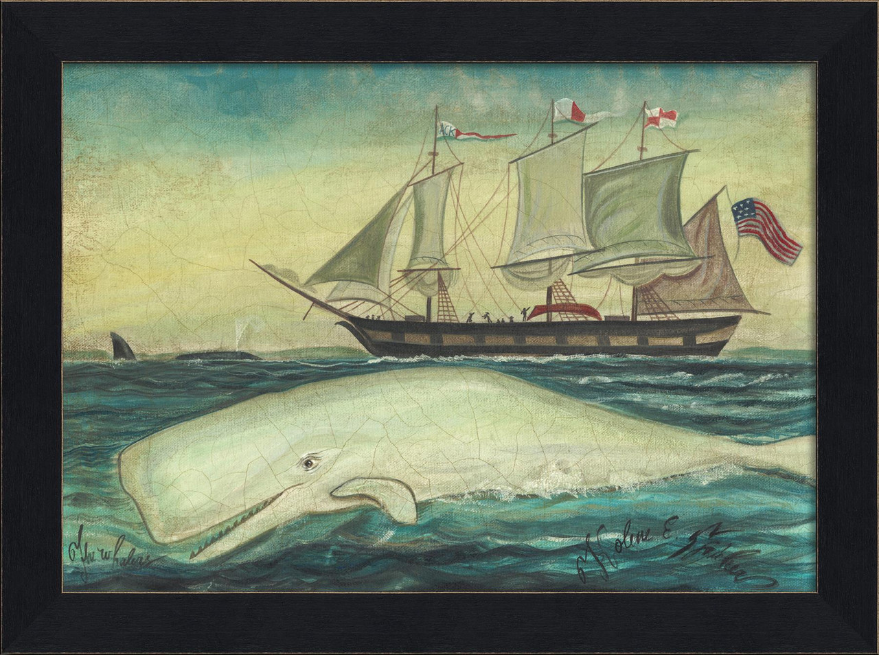 White Whale ACK Sails