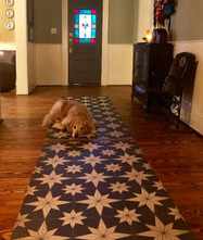 Service dog approved! Vinyl Floor Cloths