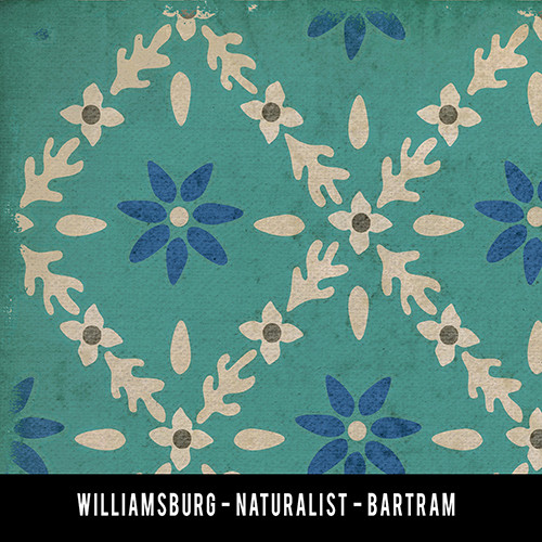 Williamsburg Naturalist Bartram - vinyl floor cloth swatch sample
