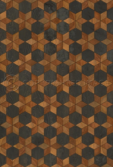 Illuminated The Prettiest Star - vinyl floor cloth sizes 20x30, 24x36, 30x44, 38x56
