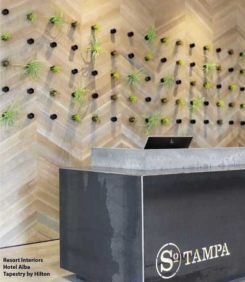 Wall Play Beehive Black (set of 10)