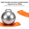 SectorCare Curved Transfer Board Orange