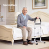 SectorCare Standing Assist Frame