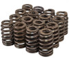 GM 604 CRATE BEEHIVE VALVE SPRINGS - SET OF 16