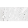 Marbles Carrara White Matte Porcelain 12x24 (1102293)