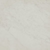 Marmorea Carrara Matte 24X24